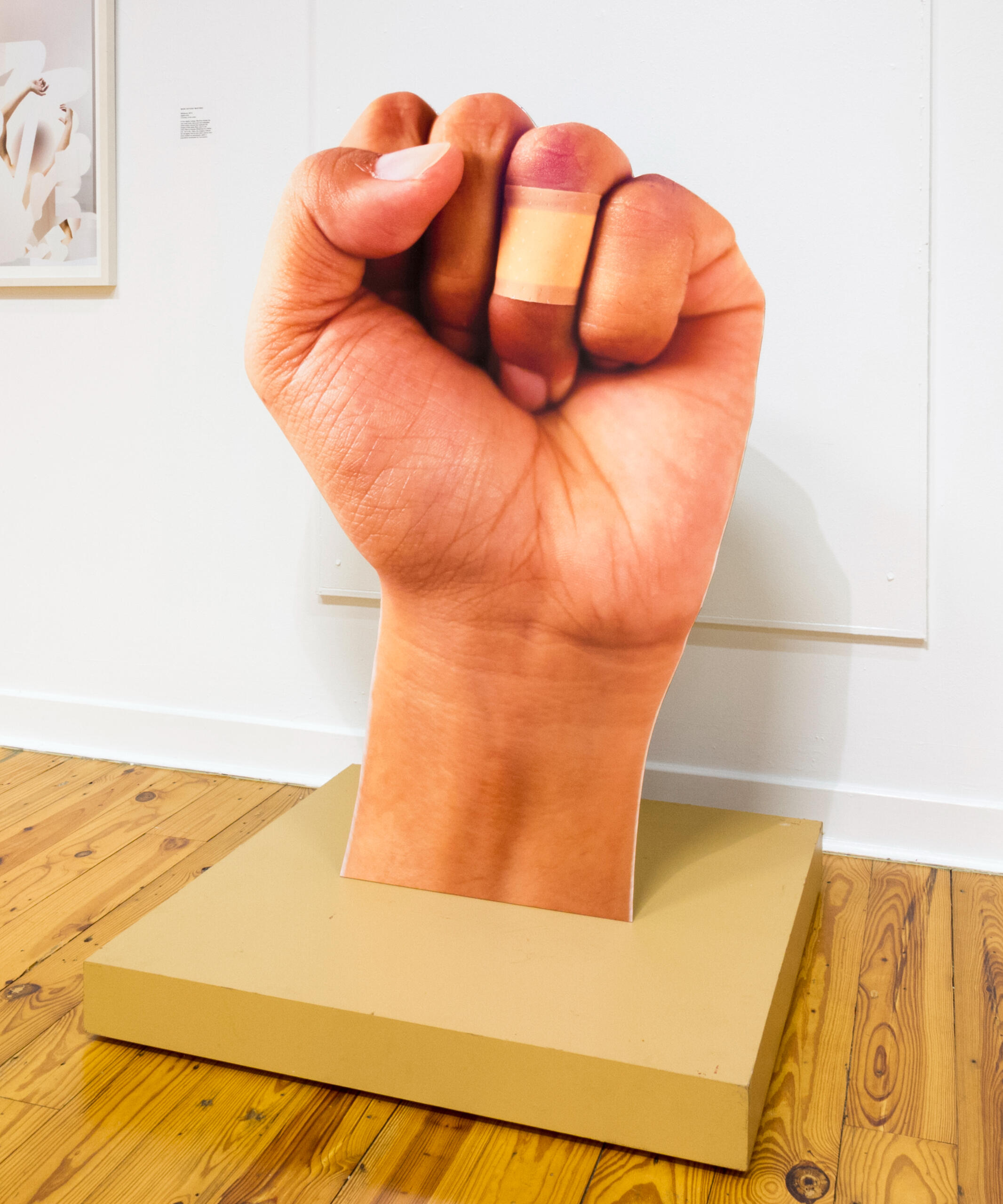 "Flesh wound," foamboard cut out, featured in the two-person exhibition “Profiling Made Visible,” curated by David S. Rubin at the Bihl Haus Arts, photo credit Luis M. Garza, 2016