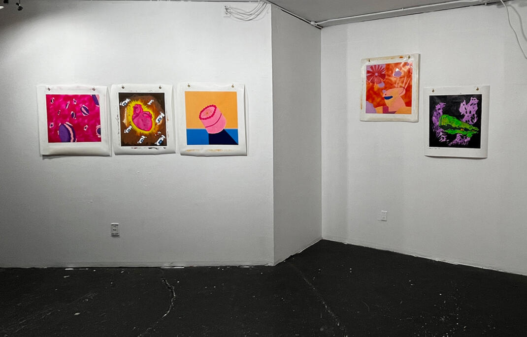Installation View, Acrylic paintings on vinyl on view at Carbon Bloom as a part of the two-person exhibition “A New Shade of Idiosyncrasy,” San Antonio, 2022